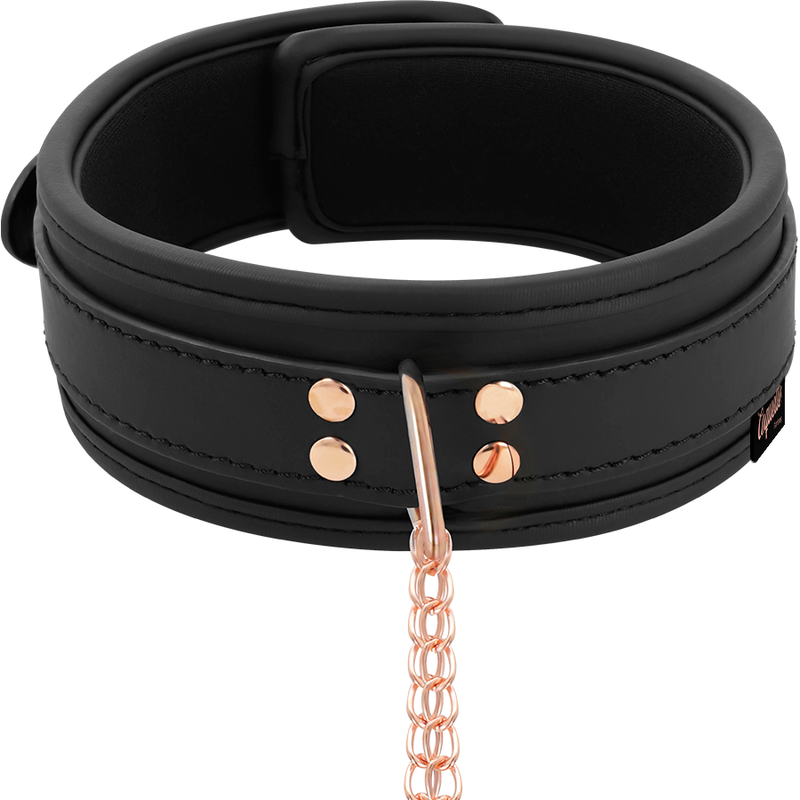 Vue détaillée du collier BDSM avec pinces tétons