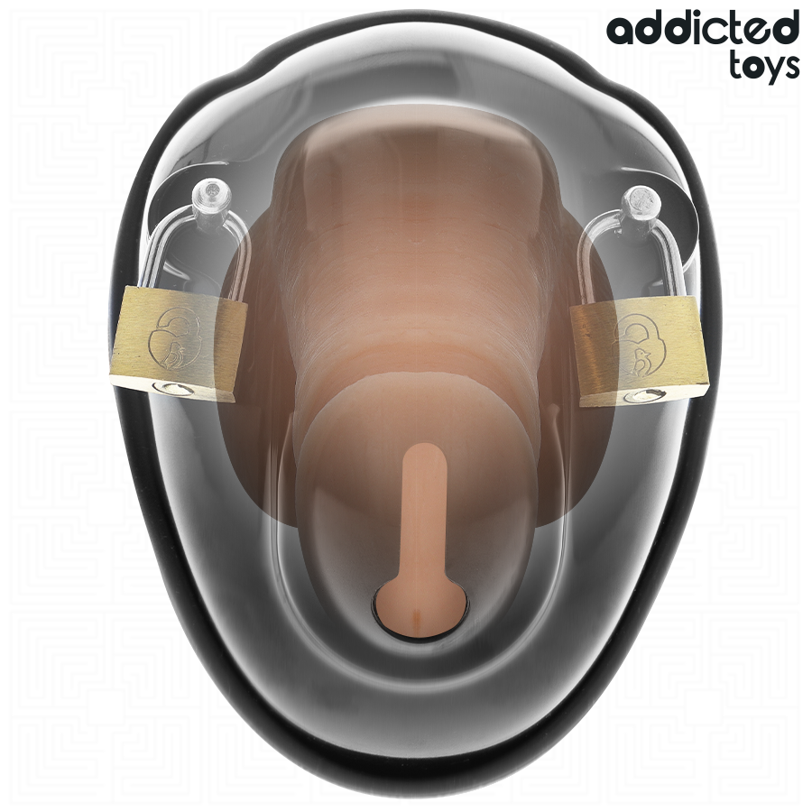 Cage à pénis Keyless Restraint Addicted Toys présentée sur modèle anatomique de démonstration