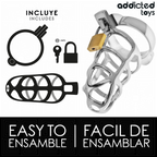 Contenu Silver Lock M – cage, anneau, cadenas et deux clés
