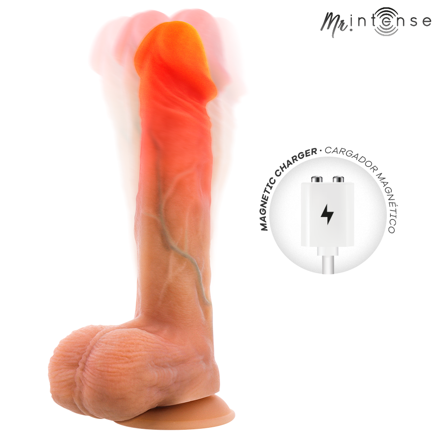 Chargeur magnétique du Logan Mr Intense, modèle rechargeable avec base ventouse